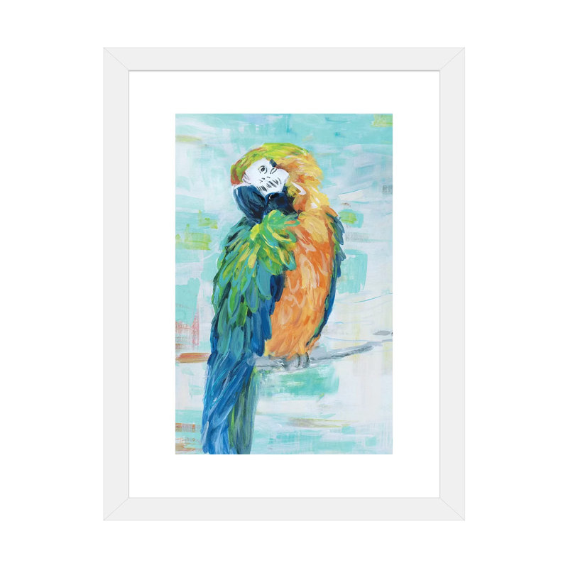 «Island Parrot II» par Sally Swatland - reproduction d'art, Blanc, H 32 po x l 24 po x P 1 po, Papier encadré blanc