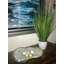 Herbe de feuillage de bureau en pot