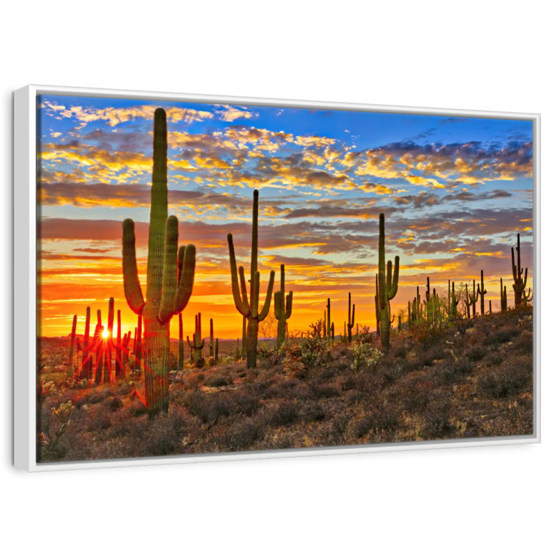 Cactus coucher de soleil, Cadre flottant blanc, 46 po x 31 po