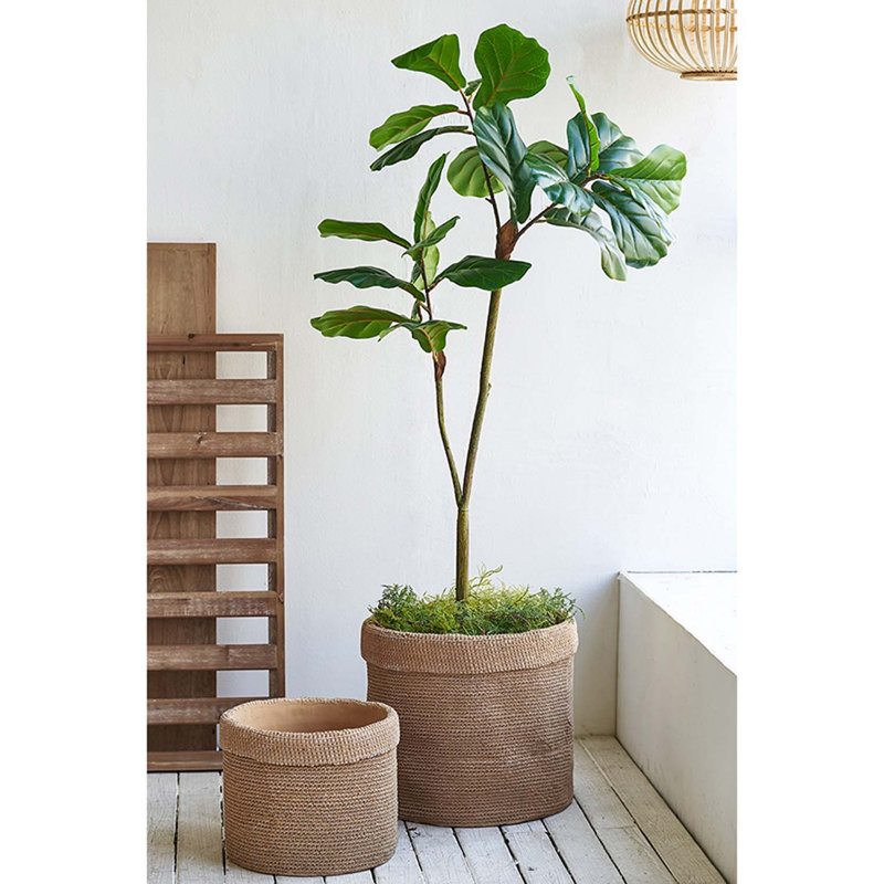 Jardinières d'extérieur Mullen