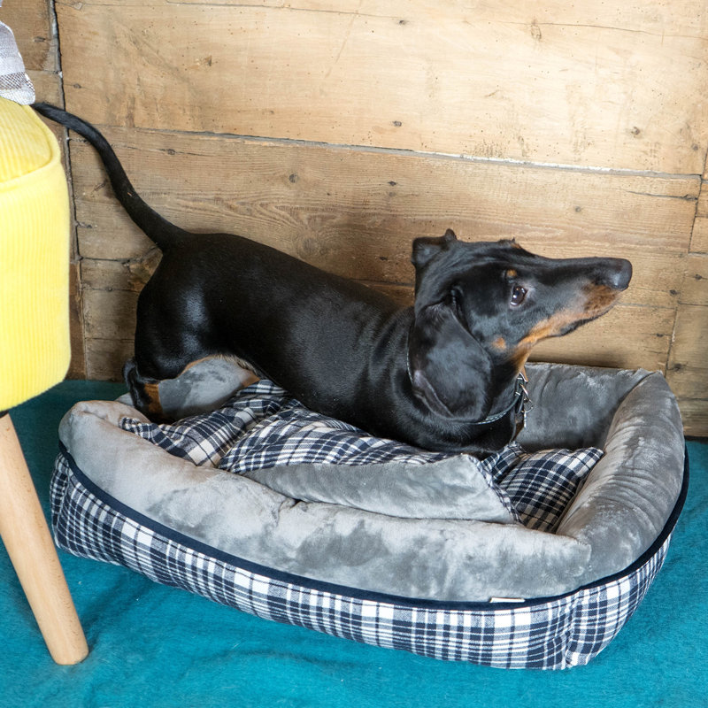 Winford Polyester Pet Bed, Medium