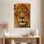 Regard de lion Brampt-108246990
