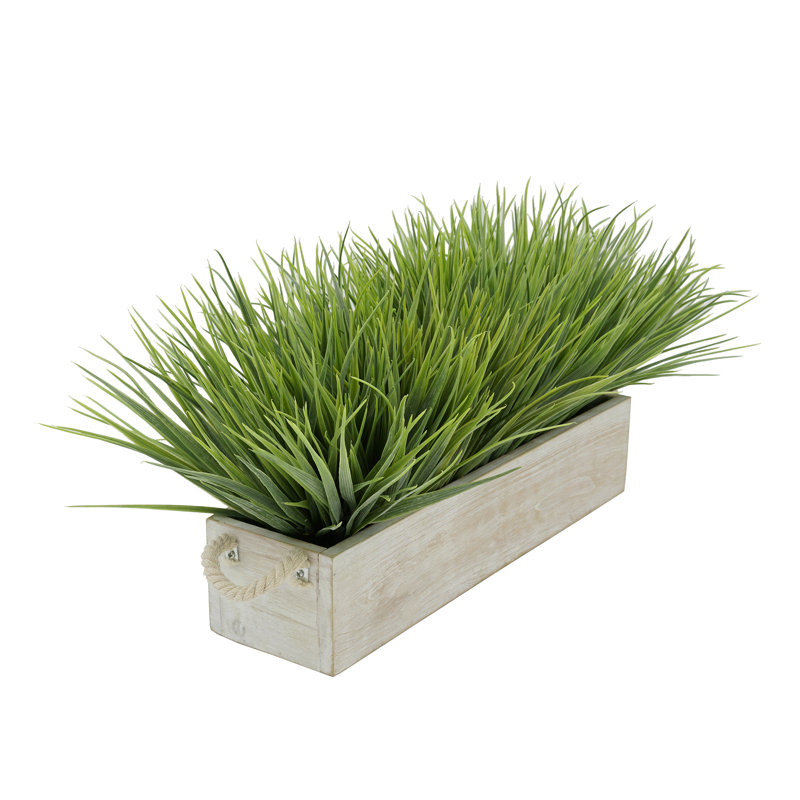 Herbe d'oignon artificielle en pot, Blanc, H 10 po x l 21 po x P 10 po, Vert pâle