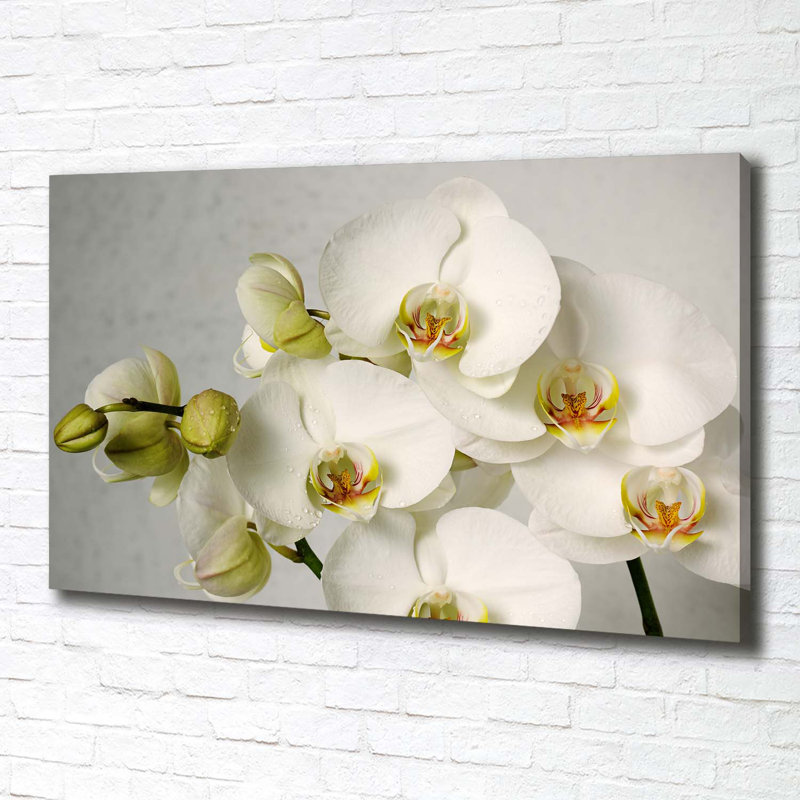 White Orchid - Wrapped Canvas Print