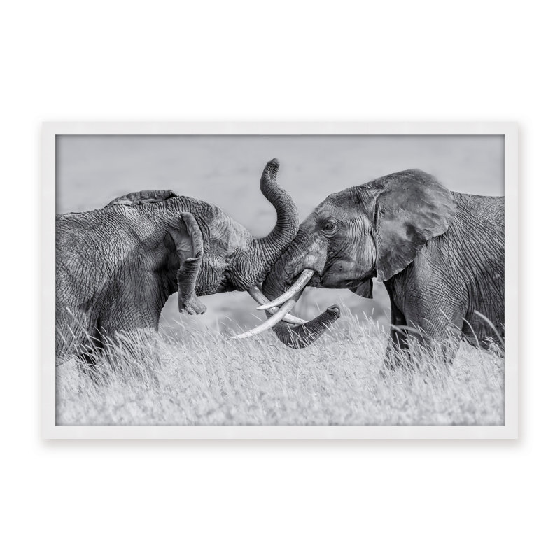 Nature Inspired Elephant Tai Chi by  - Picture Frame Photograph on Paper, 24" H x 36" W x 1.125" D, Framed Matted Print