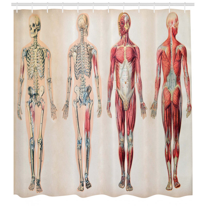 Shower Curtain with Hooks Included, 69" H x 105" W