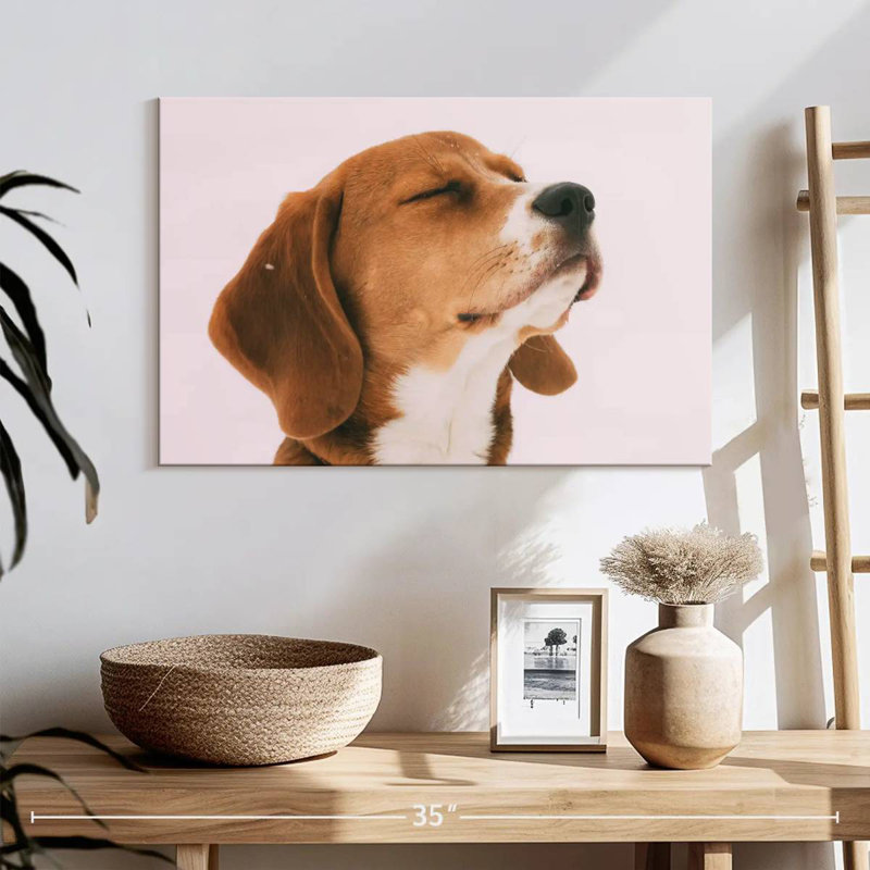 Brampt Beagle, 16" H x 24" W