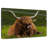 Highland Cow On Grass-107672902