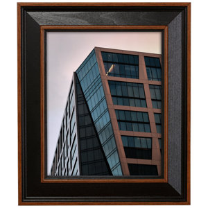 (SLIGHT SPLIT ON PLEXIGLASS GLASS) Barragan Picture Frame