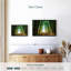 Curtain Of Light-968790329-968790330