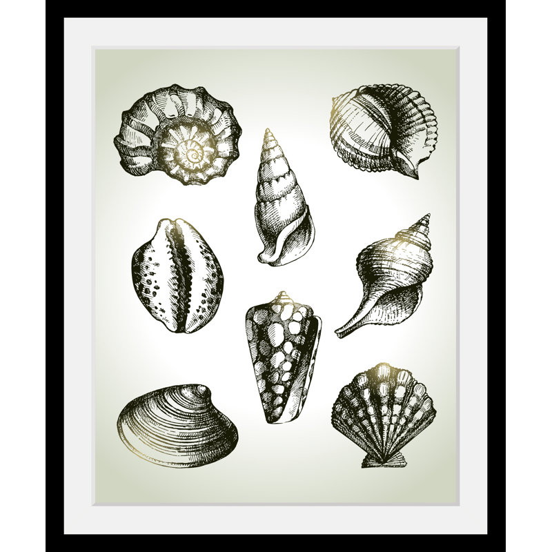 Shell - Single Picture Frame Print