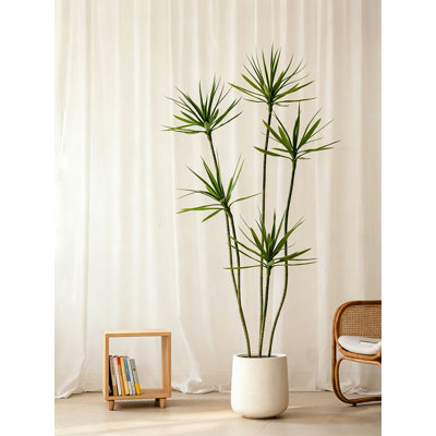 Agave artificiel clair de luxe luxueux avec tronc de jardin
