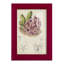 Cactus antique III, impression sur papier-881012499-881012492