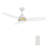  3 Blades Smart DC Motor Ceiling Fan with LED light, Remote Control