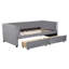 Twin Size Upholstered Daybed With Ergonomic Design Backrest And 2 Drawers-585259483