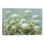 Danhui Nai - Print on Canvas-49967460-101335564