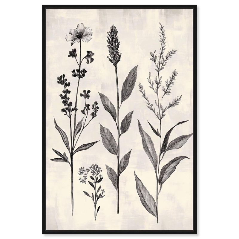"Meadow Herbs I", impression murale sur toile par Art Remedy, cadre noir, 24 x 36, H 37 po x l 25 po, Structure noire