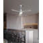 Ventilateur de plafond 52 po avec lumières DEL Ragnar