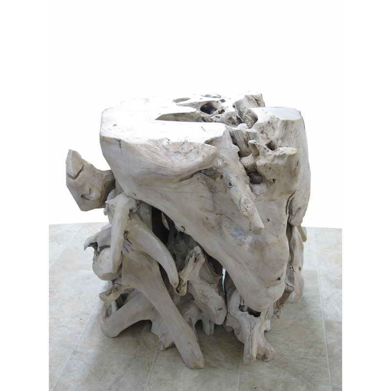 Teak Root Sculpture