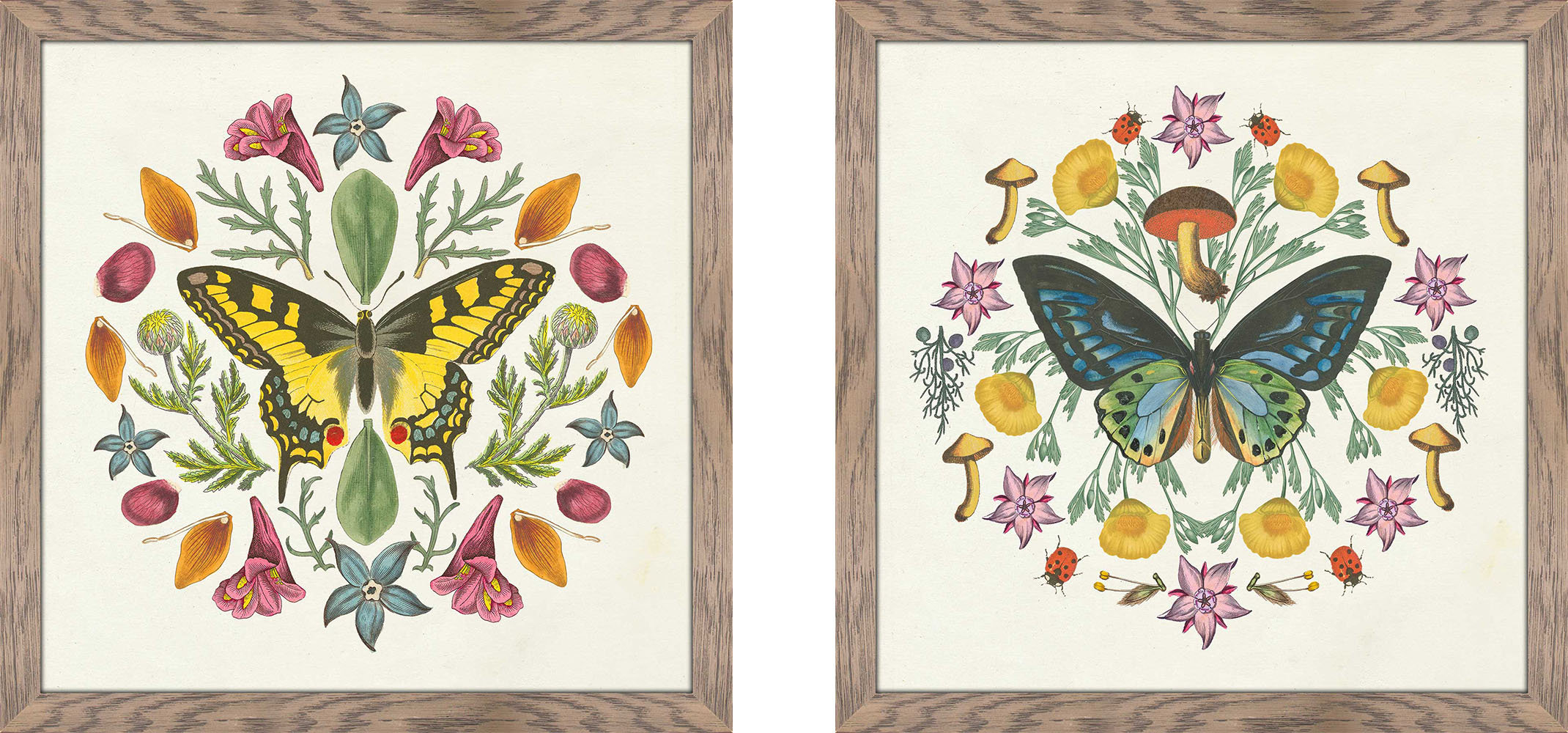 Harper Orchard 'Butterfly Mandala III' 2 Piece Framed Graphic Art Print Set  \u0026 Reviews | Wayfair, image size:2140x1000