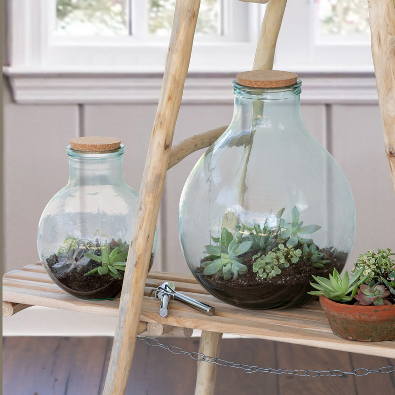 Nataiya Glass Terrarium - Solar Powered