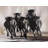 Group of Running Bulls Brown Braided Polyester Placemat