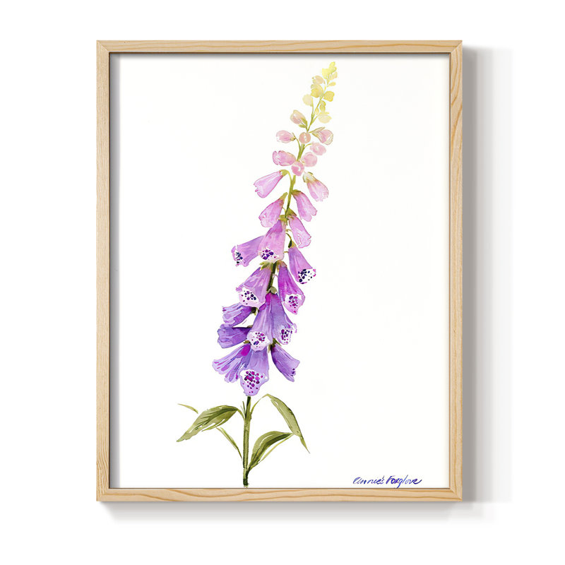 Reproduction encadrée Annie's Foxglove I - bois massif, H 21 po x l 17 po
