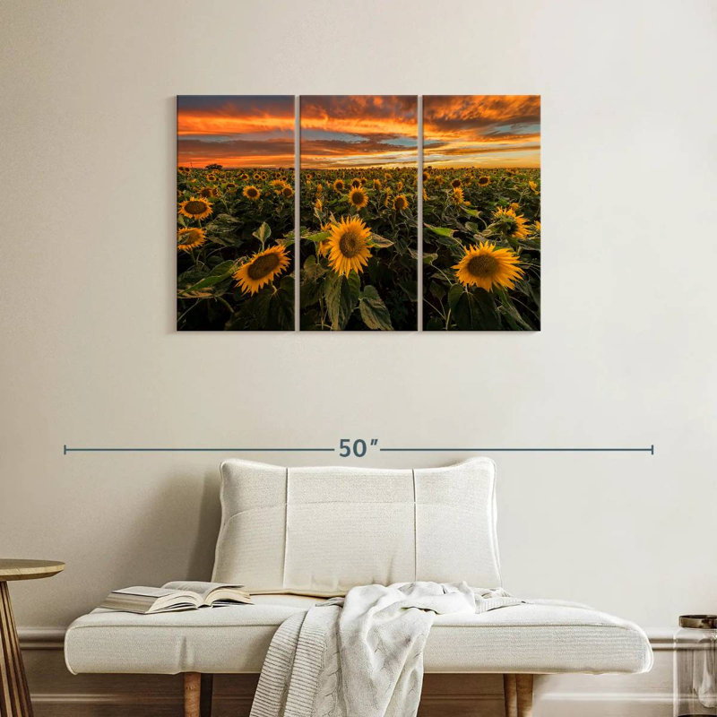 Alvord California Sunflower Field, 24" H x 38" W