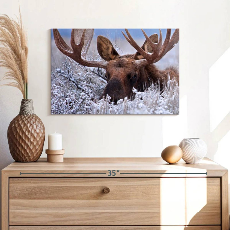Brampt Hiding Moose, 16" H x 24" W