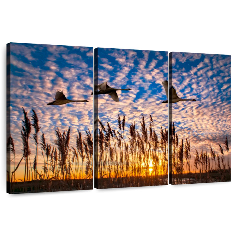 Brampt Flight Of The Swans, 20" H x 33" W