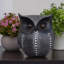 Figurine de chouette noire-1737949896