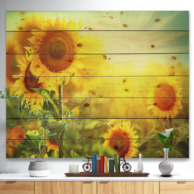 Tournesols qui fleurissent sur le champ Tournesols qui fleurissent sur le champ - Peinture sur