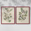 Pressed Arrangement III - Reproduction encadrée de qualité supérieure - prêt à être accroché - aucun clou requis - aucun clou requis-910221028-910221029