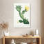 Harnek, aloès, Opuntia Polyanthos, image de l'histoire des plantes grasses-108235052