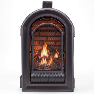 HearthSense A-Series Natural Gas Ventless Fireplace Insert - 20,000 BTU, Remote Control - Model# ANI