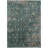 Machine Washable Indoor/Outdoor Jadiel ACN2359 Traditional Rug-1945405043