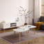 Table basse en forme d'œuf