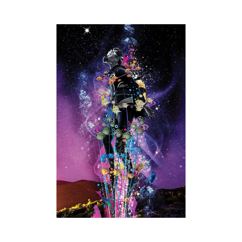 Star Diver by David Loblaw - Wrapped Canvas Print, 66.04 cm H x 45.72 cm W x 1.91 cm D