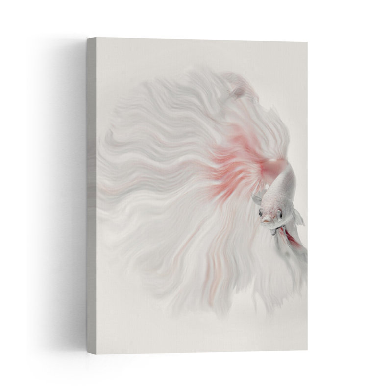 Graceful White Betta Delicate Dreamy Elegant Fish Nature Wall Art Print by Andi Halil - Print, 60.96cm H x 40.64cm W