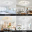 Ceiling Fan with LED Lights