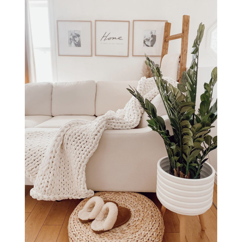 Faux zamioculcas botaniques au fini vert, H 35,5 po x l 24 po x P 37 po