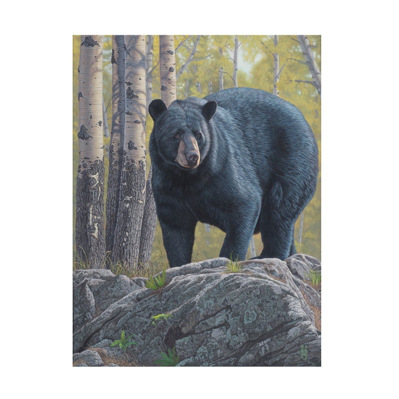 Art sur toile Jeff Hoff, H 35 po x l 47 po