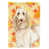Spinone sélectionné