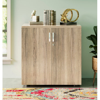 Ekaterini 2 -Door 1 -Shelf Storage Cabinet