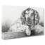 Springer Spaniel Dog by Jean Bernard - Wrapped Canvas Drawing - Wrapped Canvas-55318041