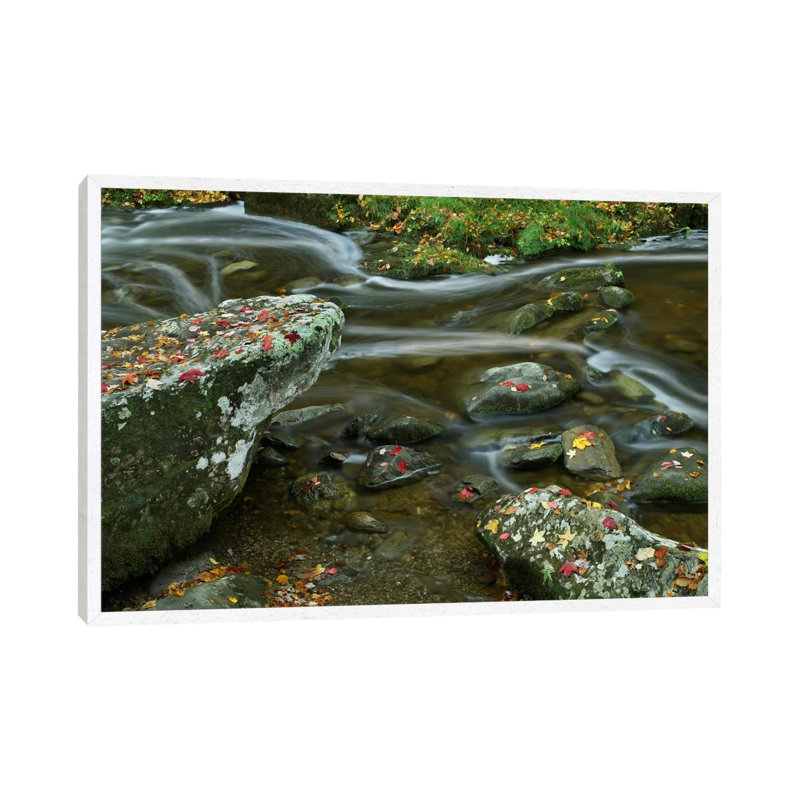 Laurel Creek, Great Smoky Mountains National Park, Tennessee by Tim Fitzharris - Gallery-Wrapped Canvas Giclée on Canvas