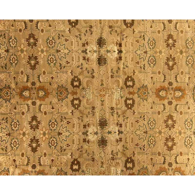 Arak Wool Oriental Area Rug