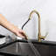 Trova Pull Down Single Handle Kitchen Faucet with Accessories-61695834