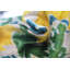 Velvet Lumbar Pillow Cover & Insert