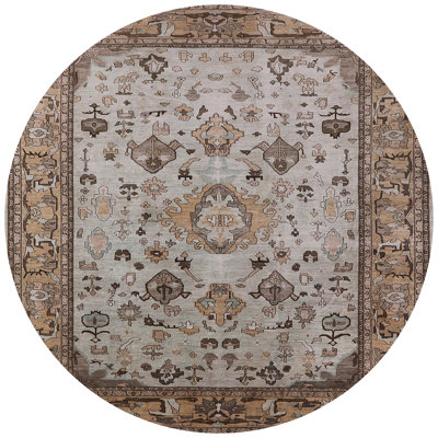 Oriental Indoor Rug